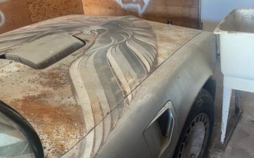 Pontiac-Firebird-1979-4