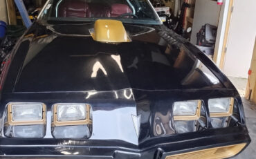Pontiac-Firebird-1979-Convertible