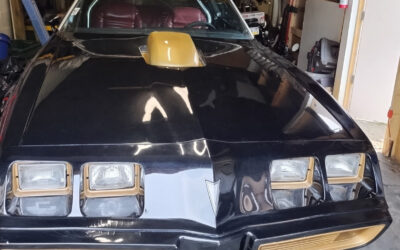 Pontiac Firebird 1979 Convertible