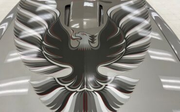 Pontiac-Firebird-1979-Platinum-Poly-Silver-10