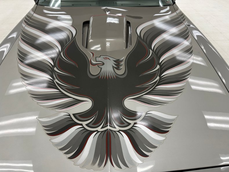 Pontiac-Firebird-1979-Platinum-Poly-Silver-10