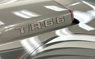 Pontiac-Firebird-1979-Platinum-Poly-Silver-12