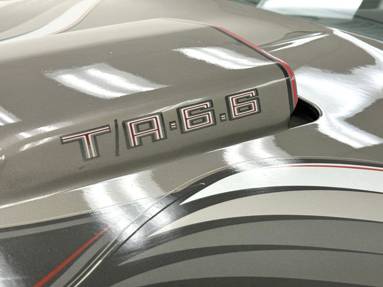 Pontiac-Firebird-1979-Platinum-Poly-Silver-12