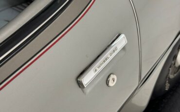 Pontiac-Firebird-1979-Platinum-Poly-Silver-16