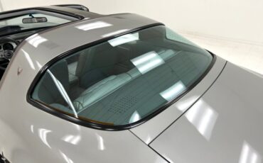 Pontiac-Firebird-1979-Platinum-Poly-Silver-17