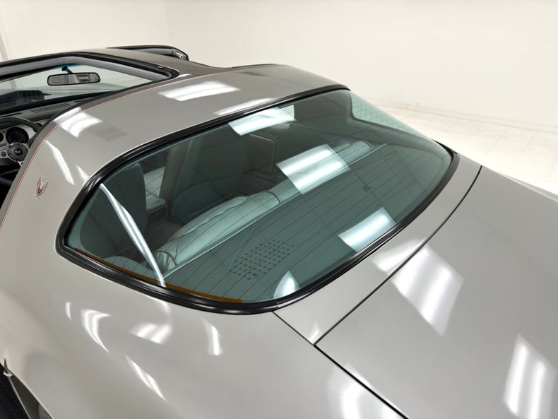 Pontiac-Firebird-1979-Platinum-Poly-Silver-17