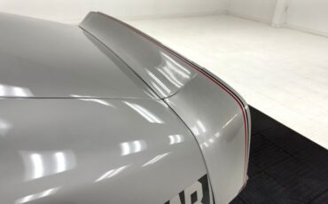 Pontiac-Firebird-1979-Platinum-Poly-Silver-18