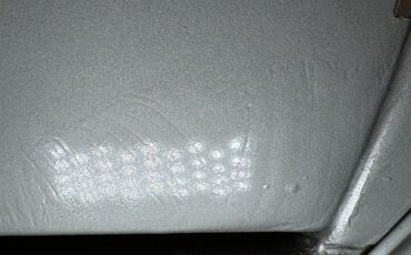 Pontiac-Firebird-1979-Platinum-Poly-Silver-25