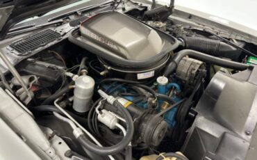 Pontiac-Firebird-1979-Platinum-Poly-Silver-28