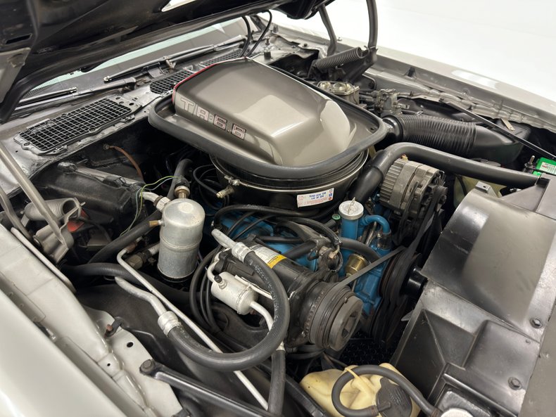 Pontiac-Firebird-1979-Platinum-Poly-Silver-28