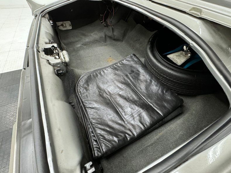 Pontiac-Firebird-1979-Platinum-Poly-Silver-34