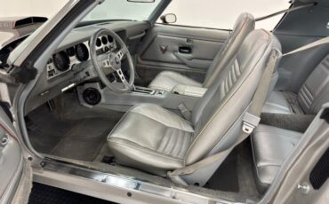 Pontiac-Firebird-1979-Platinum-Poly-Silver-38