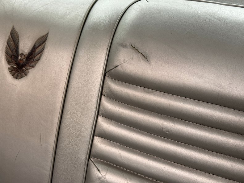 Pontiac-Firebird-1979-Platinum-Poly-Silver-40