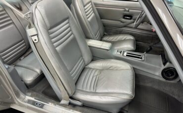 Pontiac-Firebird-1979-Platinum-Poly-Silver-42
