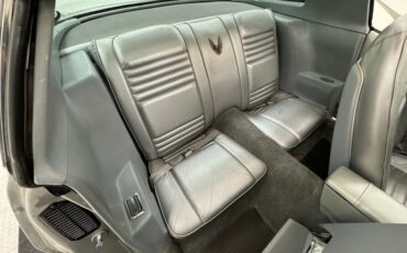 Pontiac-Firebird-1979-Platinum-Poly-Silver-44