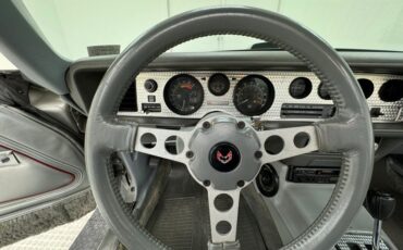 Pontiac-Firebird-1979-Platinum-Poly-Silver-45