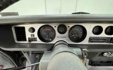 Pontiac-Firebird-1979-Platinum-Poly-Silver-46