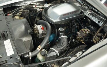 Pontiac-Firebird-1979-Platinum-Silver-Meta-Carmine-29