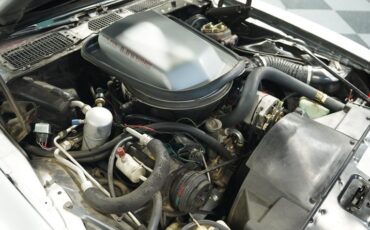 Pontiac-Firebird-1979-Platinum-Silver-Meta-Carmine-31