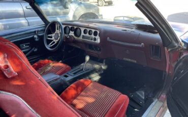 Pontiac-Firebird-1981-Blue-Red-10