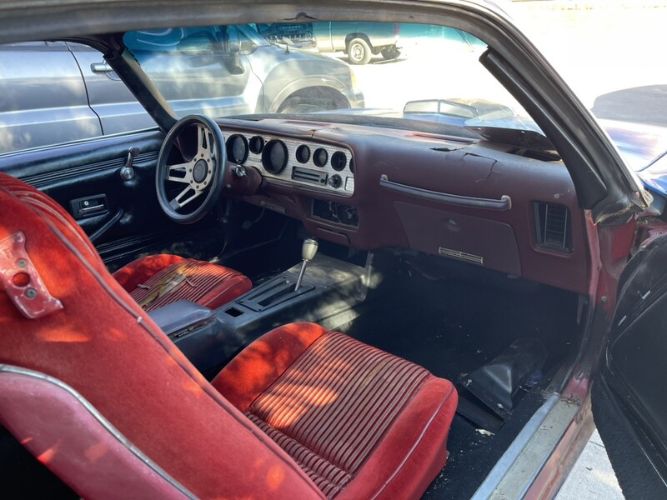 Pontiac-Firebird-1981-Blue-Red-10