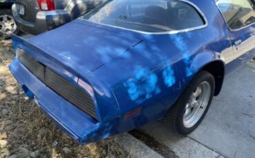 Pontiac-Firebird-1981-Blue-Red-11