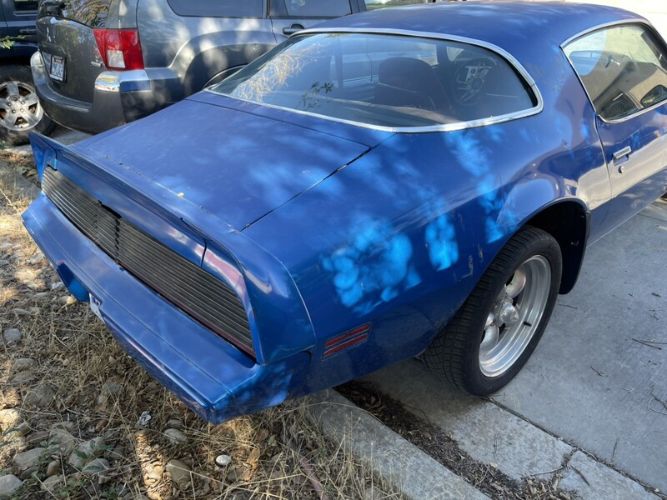 Pontiac-Firebird-1981-Blue-Red-11