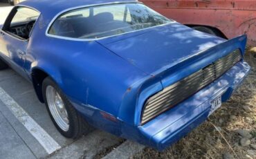 Pontiac-Firebird-1981-Blue-Red-13