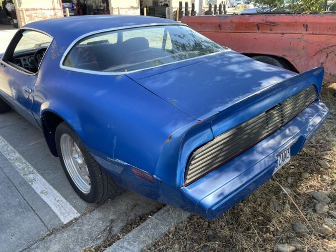 Pontiac-Firebird-1981-Blue-Red-13