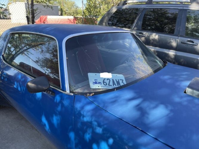 Pontiac-Firebird-1981-Blue-Red-2