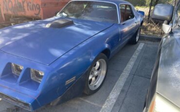 Pontiac-Firebird-1981-Blue-Red-3
