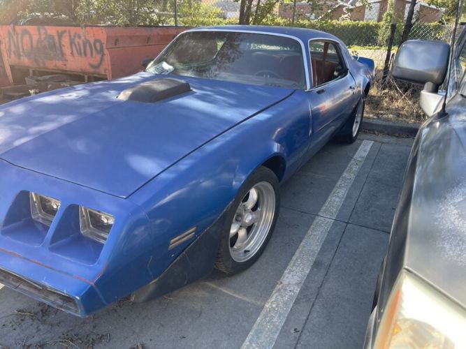 Pontiac-Firebird-1981-Blue-Red-3