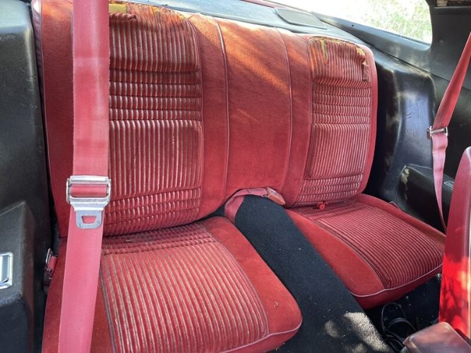 Pontiac-Firebird-1981-Blue-Red-6
