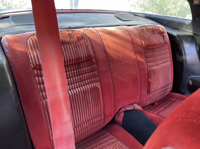 Pontiac-Firebird-1981-Blue-Red-7