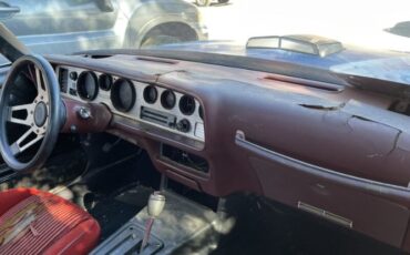 Pontiac-Firebird-1981-Blue-Red-8