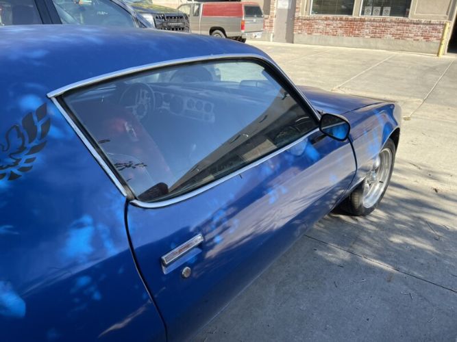 Pontiac-Firebird-1981-Blue-Red-9