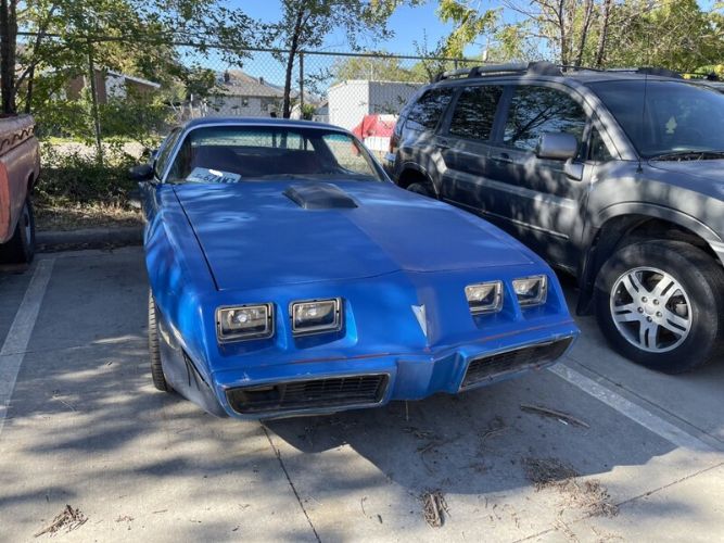 Pontiac-Firebird-1981-Blue-Red