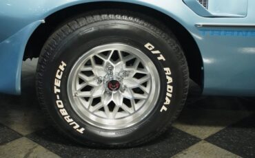 Pontiac-Firebird-1981-Dresden-Blue-Blue-14