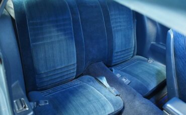 Pontiac-Firebird-1981-Dresden-Blue-Blue-41