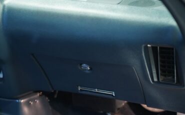 Pontiac-Firebird-1981-Dresden-Blue-Blue-46