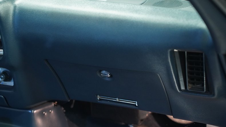 Pontiac-Firebird-1981-Dresden-Blue-Blue-46
