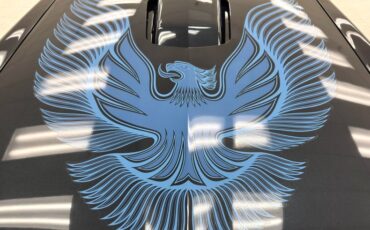 Pontiac-Firebird-1981-Nightwatch-Blue-Dark-Blue-15