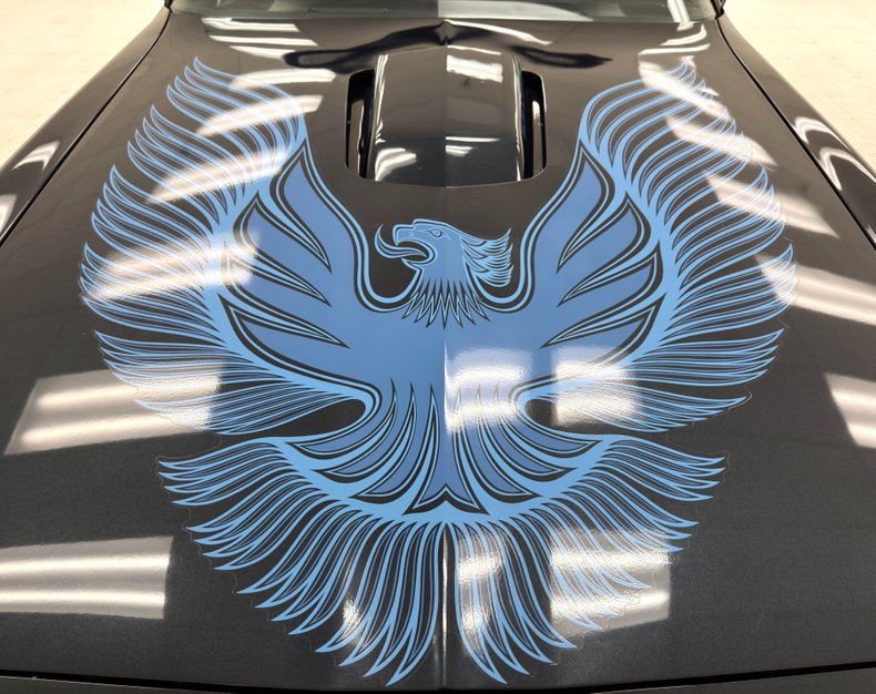 Pontiac-Firebird-1981-Nightwatch-Blue-Dark-Blue-15