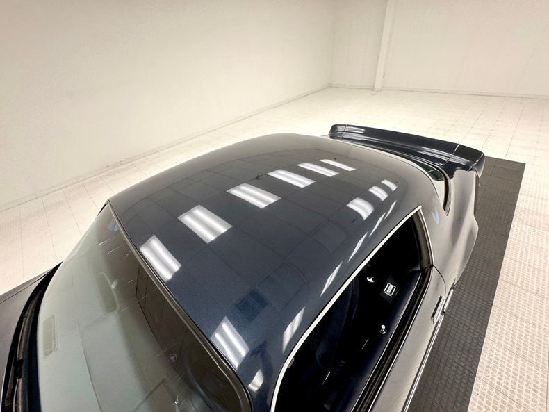 Pontiac-Firebird-1981-Nightwatch-Blue-Dark-Blue-22