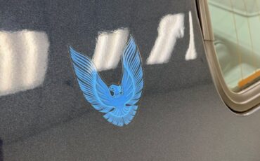 Pontiac-Firebird-1981-Nightwatch-Blue-Dark-Blue-24