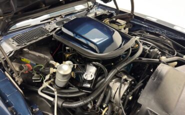 Pontiac-Firebird-1981-Nightwatch-Blue-Dark-Blue-9