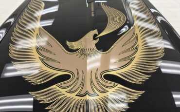 Pontiac-Firebird-1981-Starlite-Black-Light-Doeskin-23