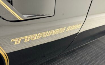 Pontiac-Firebird-1981-Starlite-Black-Light-Doeskin-25