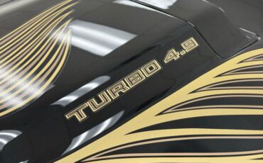 Pontiac-Firebird-1981-Starlite-Black-Light-Doeskin-26
