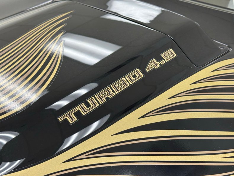 Pontiac-Firebird-1981-Starlite-Black-Light-Doeskin-26